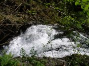 5.5.06 Eagle Creek 071 